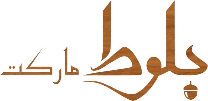 لوگو وب سایت